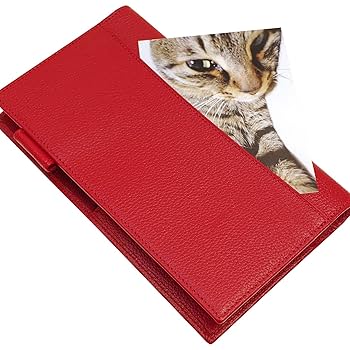 専用　11冊 専用 11冊 11冊 Yahoo!オークション -「zx-11」(カタログ